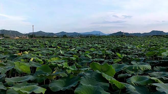 宁国千亩村：被老铁路切割的城中村，很有岁月的怀旧感！