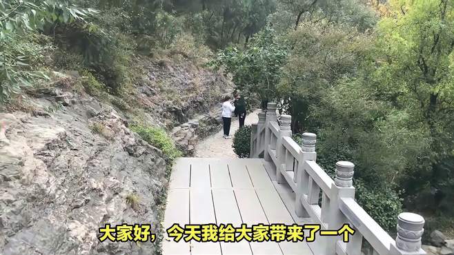 博山免费景点大揭秘，你准备好了吗