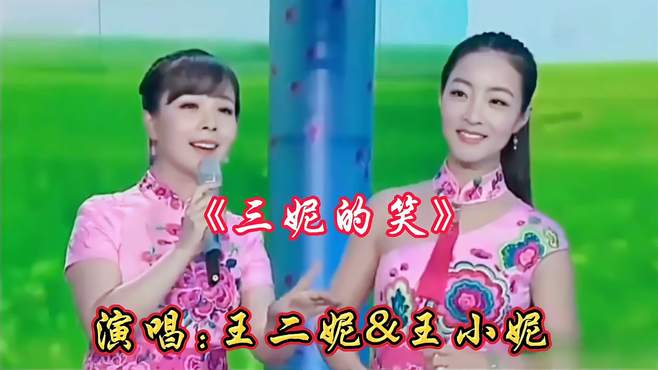 王二妮&王小妮姐妹合唱歌曲《三妮的笑》人美歌甜，非常好听