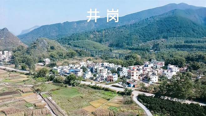 井冈村，广东省肇庆市封开县莲都镇嘅一个村庄