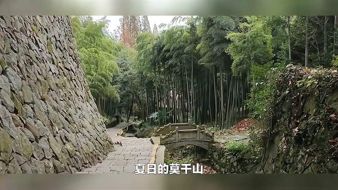 探秘莫干山：德清县莫干山镇溪源山庄的奇妙农村之旅