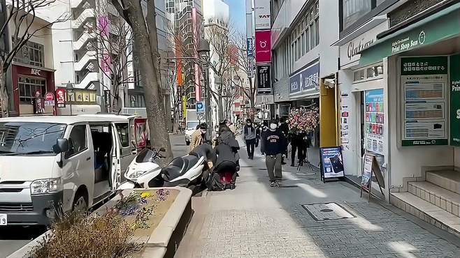 生态旅游新体验，探索城市绿色资源，追寻美丽自然