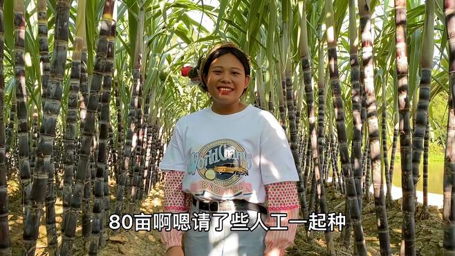 农村美女种80亩甘蔗，如今30岁了目前还单身没人要，相亲又被嫌弃