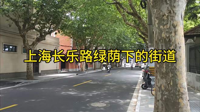 上海长乐路绿荫下的街道