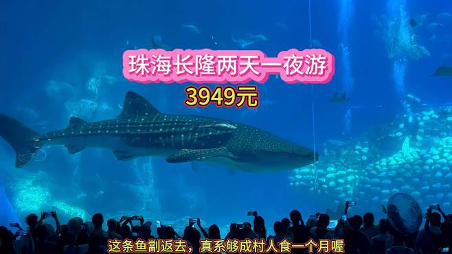 花3949元去珠海长隆是什么体验呢？看看这些游玩项目值不值得去玩