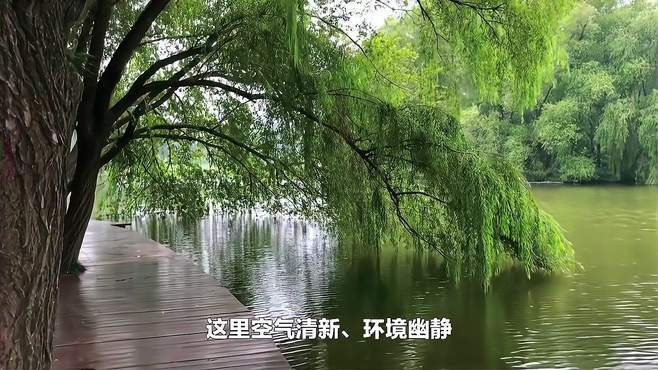 重庆沙坪坝区有什么好玩的景点