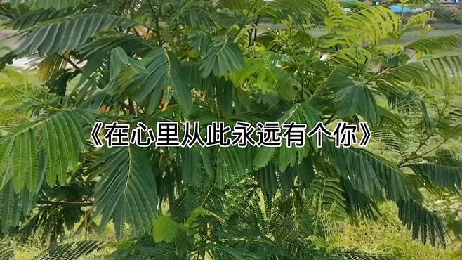 打工人宿舍版网络情歌《在心里从此永远有个你》唱出了满满的回忆