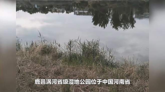 鹿邑涡河省级湿地公园