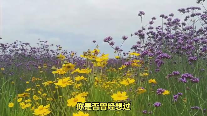 探秘花乡公园在哪里