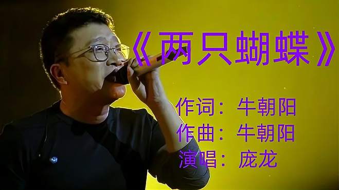 庞龙《两只蝴蝶》，我和你缠缠绵绵翩翩飞，飞越这红尘永相随