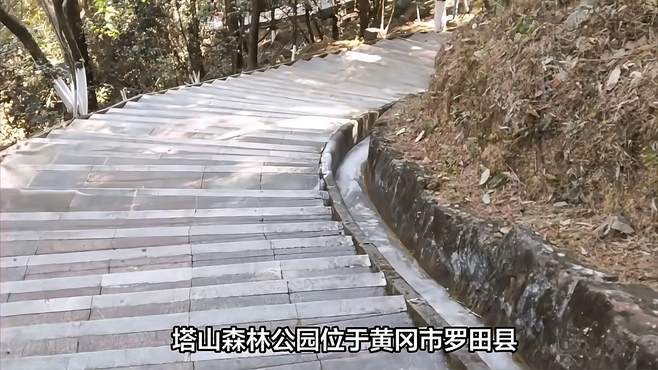 黄冈市罗田县塔山森林公园：自然美景