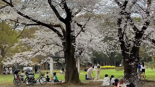 精彩街景，收获不一样的乐趣