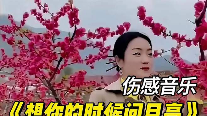 伤感歌曲《想你的时候问月亮》，唱尽相思之苦，太好听了