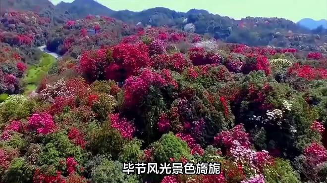 毕节景点旅游攻略