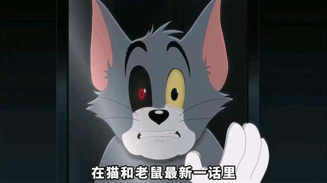 你见过这样的猫和老鼠吗？不一样的猫和老鼠