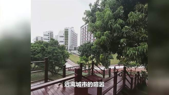 自然之美：欣赏防腐木栈道的绿色风光