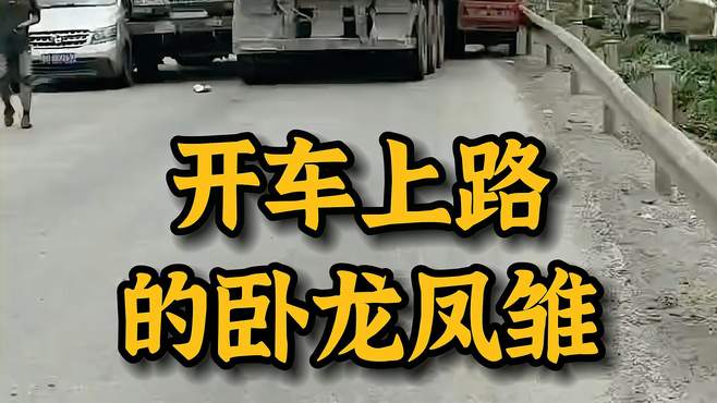 盘点开车上路的卧龙凤雏 卧龙凤雏 有卧龙的地方一定有凤雏