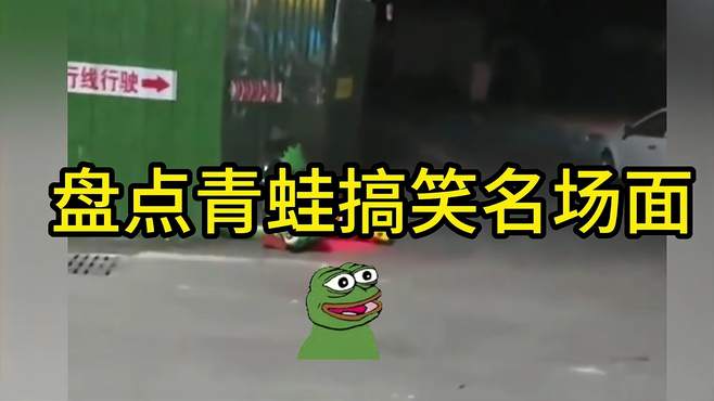 盘点青蛙搞笑名场面~