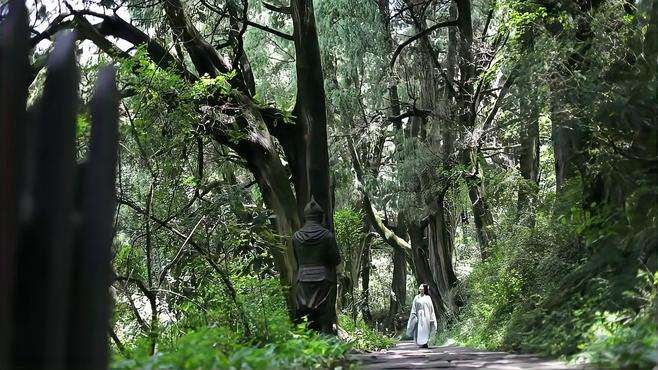 翠云廊，苍烟护，苔花荫雨湿衣裳。#四川 #旅行 #翠云廊 素材来源：、