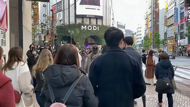 踏上交通便捷之旅，潜心欣赏城市绚丽，畅游城市风光