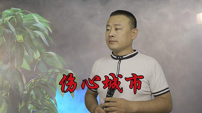 心碎民谣《伤心城市》，歌词伤感，唱出多少人的心酸和无奈！