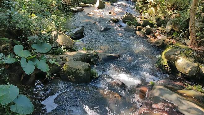 世外桃源野生泉水