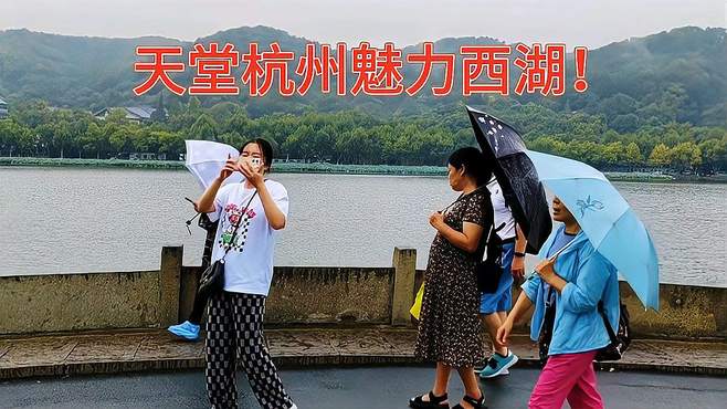 天堂杭州人间西湖！孤山不孤断桥不断！西湖风景欣赏！