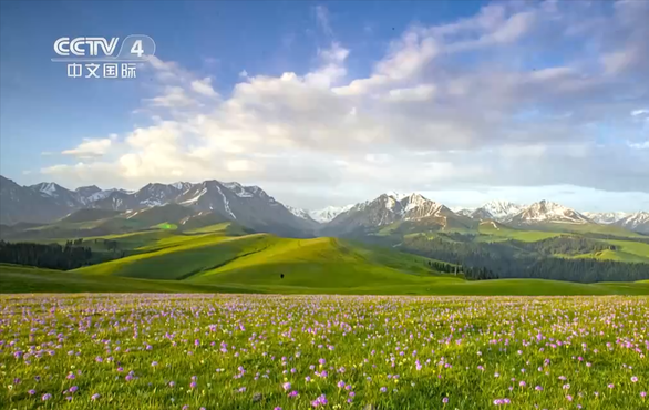 鲜花台，是喀拉峻草原自然景观最美的地方的一个制高点