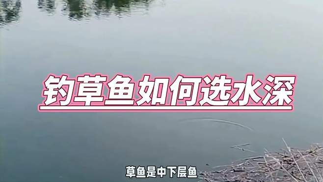 草鱼钓底or离底？掌握这四点，轻松掌控草鱼水深