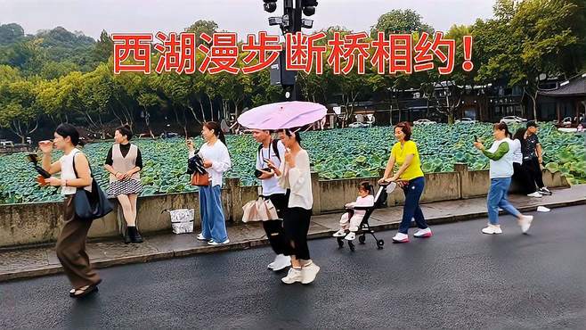 雨中漫步断桥相约！西湖风景优美游客众多！