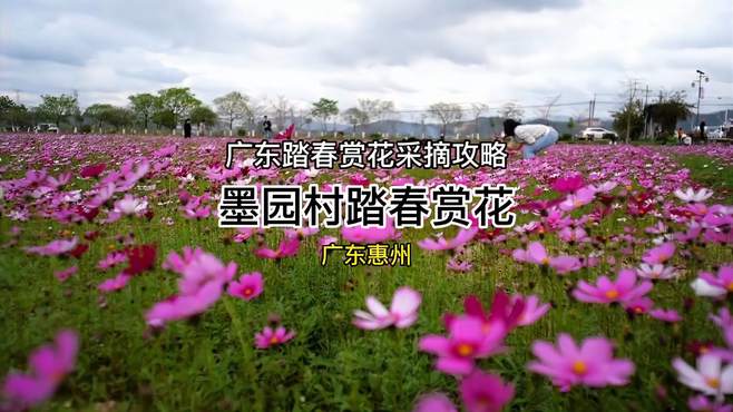 一个可以赏花打卡又可以亲子采摘的踏春攻略采摘门票