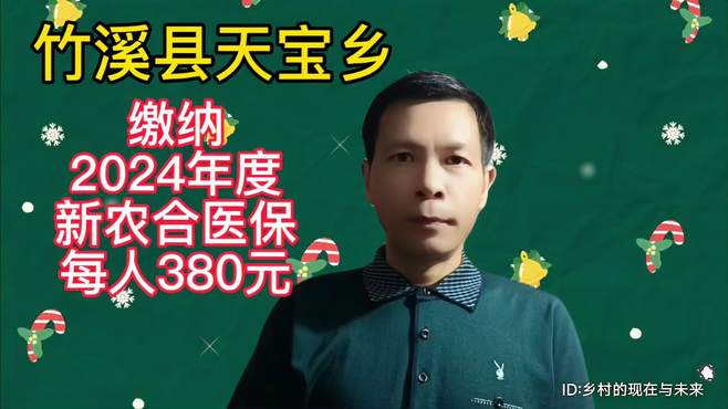 湖北省十堰市竹溪县天宝乡，缴纳2024年新农合医保每人380元