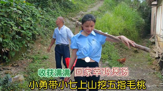 小七跟着小勇上山挖五指毛桃，收获满满才下山，到家立马抓鸡煲汤