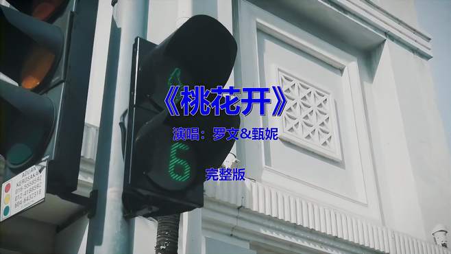 经典流行音乐《桃花开》，勾起多少往事