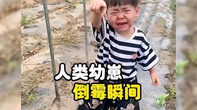 盘点人类幼崽倒霉好笑瞬间