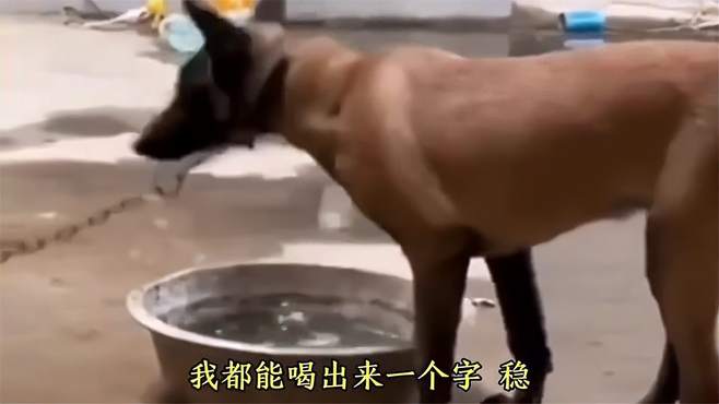 这猴子长的真有特色，国字剪