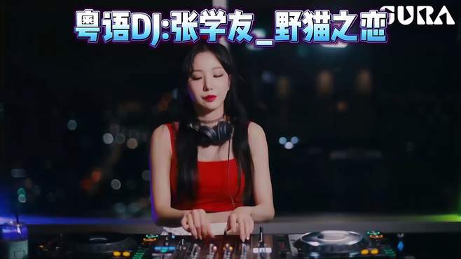 2023顶级中文DJ神曲，顶尖音质高清性感车载DJ，张学友_野猫之恋