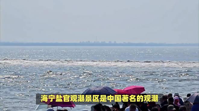 海宁盐官观潮景区观潮时间