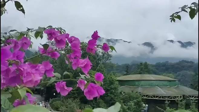 蓝姐带你探秘中国的雨城碧峰峡传说女娲在此补天奉献了生命