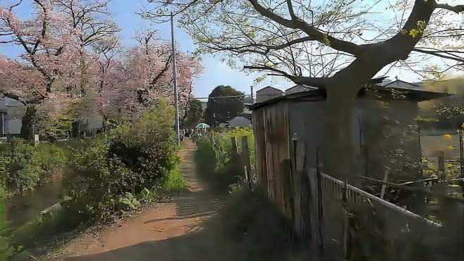 惊叹城市风光，深入历史怀抱，追寻文化精髓