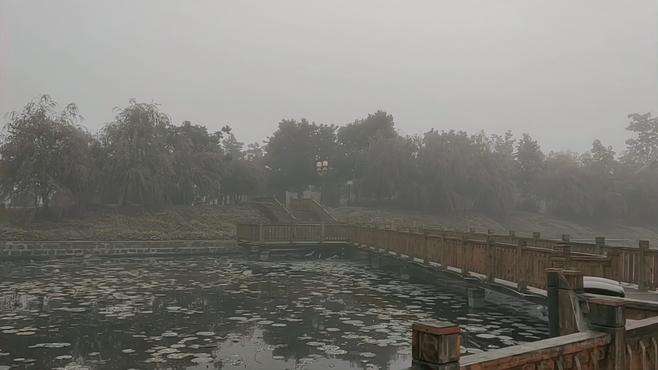 我不知道雨从哪里飘来，只知道它悠闲的滋润着万物