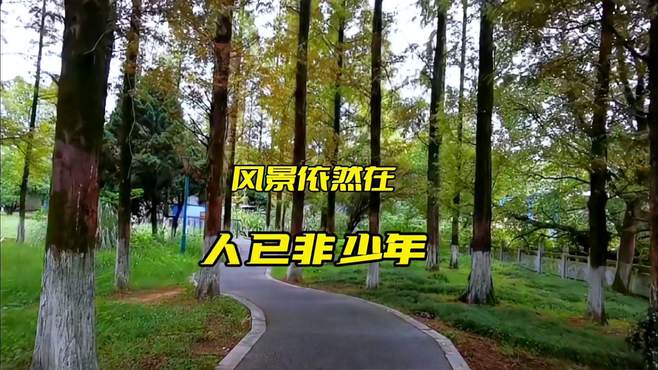 风景依然在，人已非少年，不念过往，珍惜当下