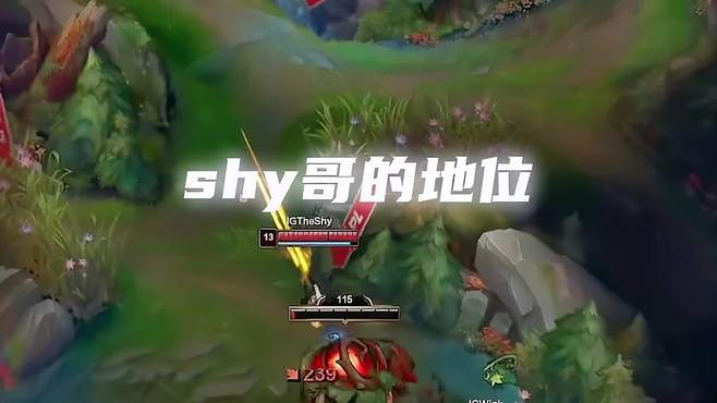 听说当年的shy哥是队霸？theshy