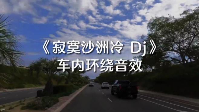 《寂寞沙洲冷 DJ版》车内环绕音效