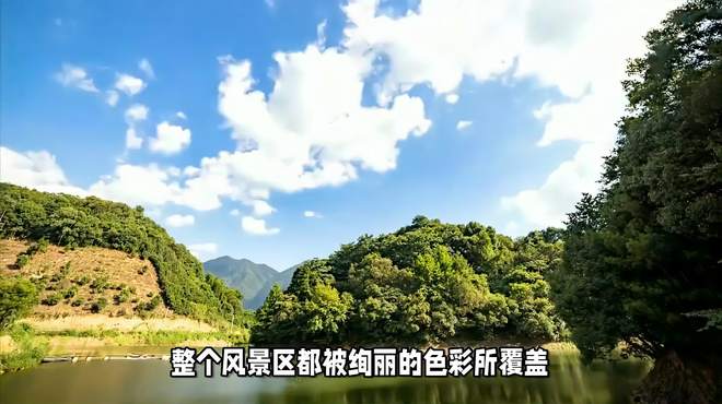 椿树沟：漫步山谷，感受大自然的美妙