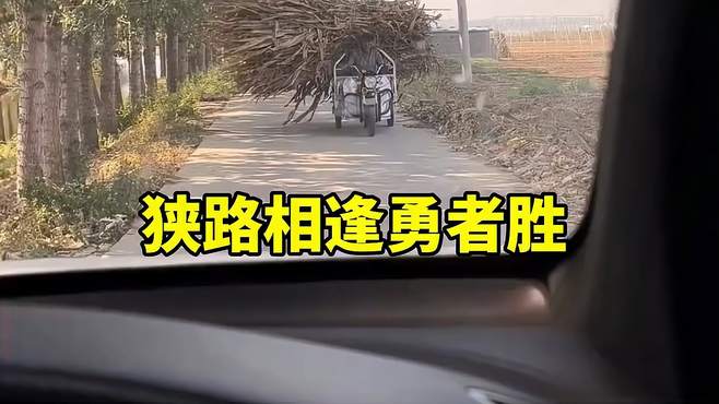 狭路相逢勇者胜，大爷不愧是大爷