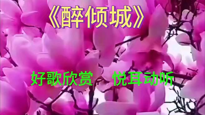 经典好听歌曲《醉倾城》