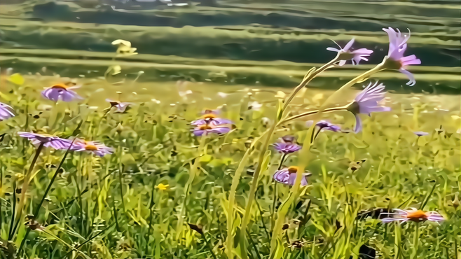 西藏除了林芝，你还知道哪里，快带你最想带的人一起来场旅行吧