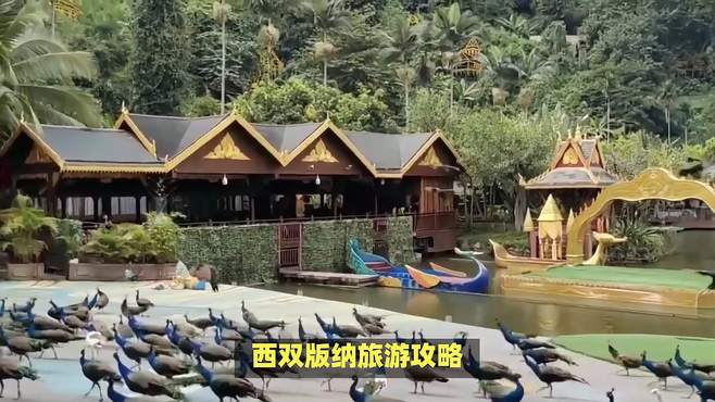 西双版纳旅游度假区：享受自然风光和高奢服务的理想之地！