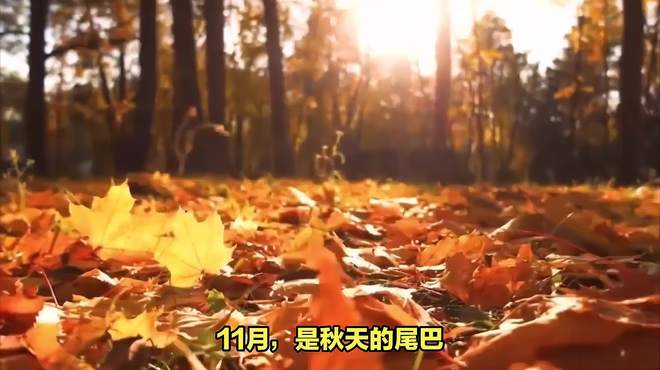 11月份适合去哪里旅行